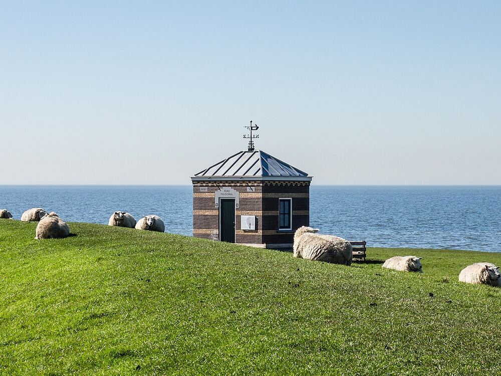 Schapen op de groene dijk bij Hindeloopen met een klein peilschaalhuisje en het IJsselmeer